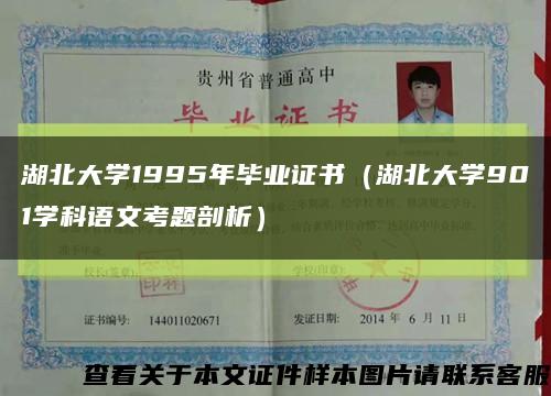湖北大學1995年畢業證書（湖北大學901學科語文考題剖析）縮略圖