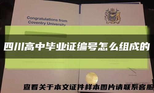 四川高中畢業證編號怎么組成的縮略圖