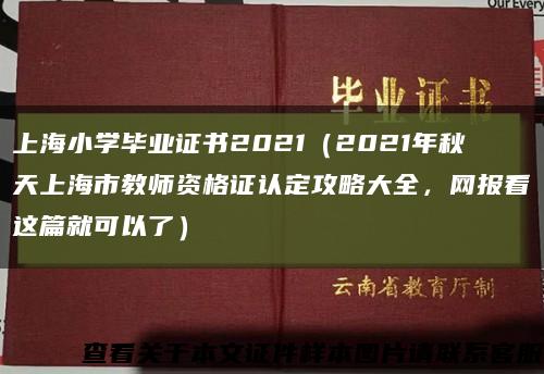 上海小學畢業證書2021（2021年秋天上海市教師資格證認定攻略大全，網報看這篇就可以了）縮略圖