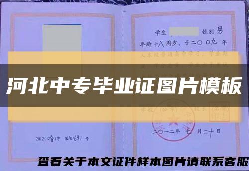 河北中專畢業證圖片模板縮略圖