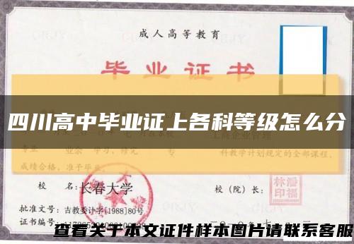 四川高中畢業證上各科等級怎么分縮略圖