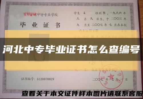 河北中專畢業證書怎么查編號縮略圖