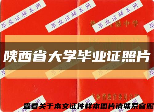 陜西省大學畢業證照片縮略圖