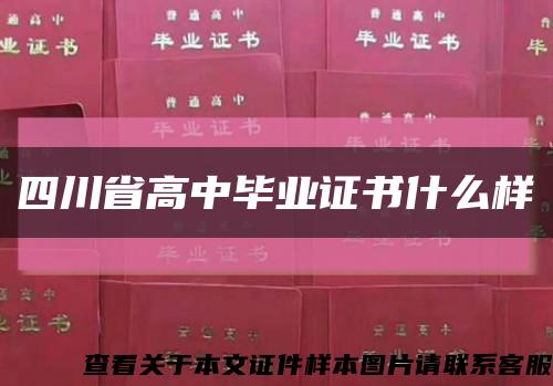 四川省高中畢業證書什么樣縮略圖