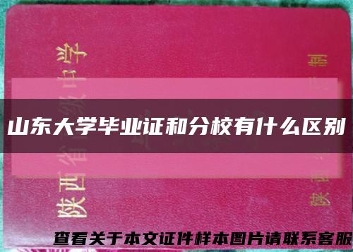 山東大學畢業證和分校有什么區別縮略圖