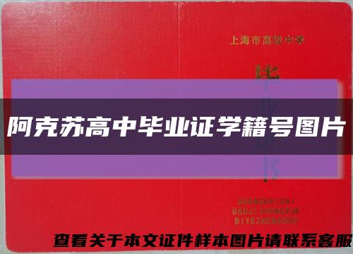 阿克蘇高中畢業證學籍號圖片縮略圖