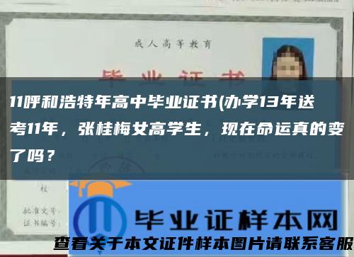 11呼和浩特年高中畢業證書(辦學13年送考11年，張桂梅女高學生，現在命運真的變了嗎？縮略圖