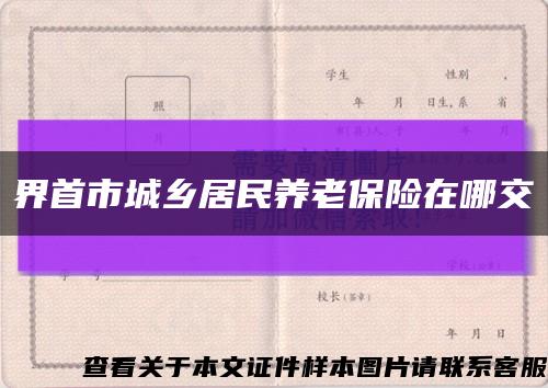 界首市城鄉居民養老保險在哪交縮略圖