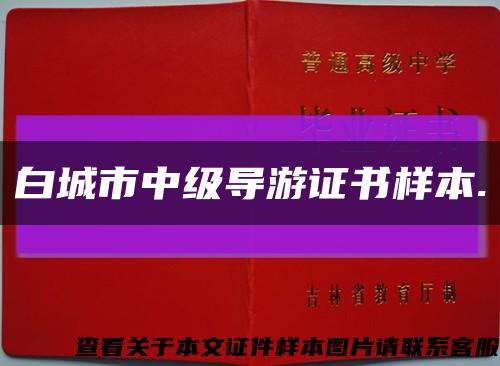 白城市中級導游證書樣本.縮略圖