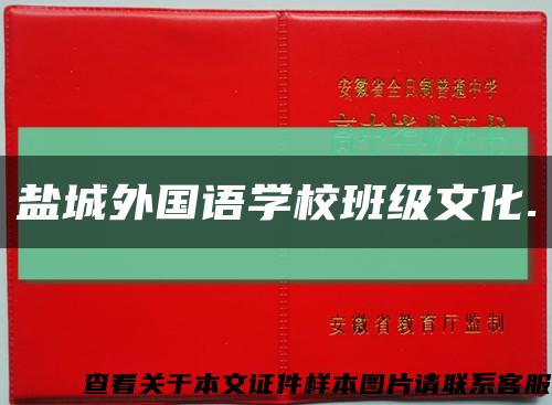 鹽城外國語學校班級文化.縮略圖