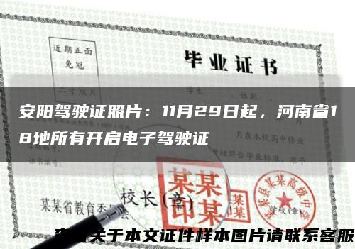 安陽駕駛證照片：11月29日起，河南省18地所有開啟電子駕駛證縮略圖