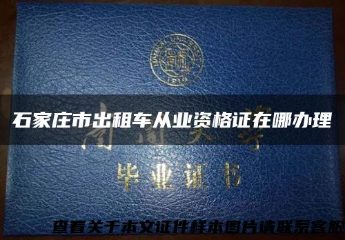 石家莊市出租車從業資格證在哪辦理縮略圖