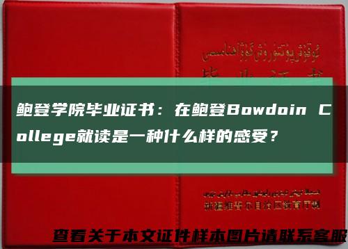 鮑登學院畢業證書：在鮑登Bowdoin College就讀是一種什么樣的感受？縮略圖