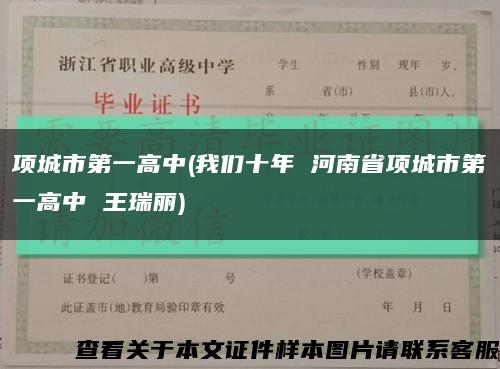 項城市第一高中(我們十年 河南省項城市第一高中 王瑞麗)縮略圖