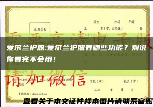 愛爾蘭護照:愛爾蘭護照有哪些功能？別說你看完不會用！縮略圖