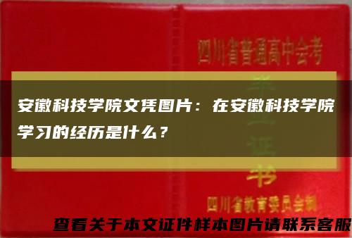 安徽科技學院文憑圖片：在安徽科技學院學習的經歷是什么？縮略圖