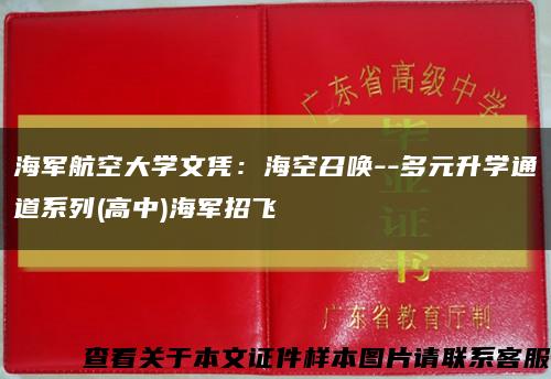 海軍航空大學文憑：?？照賳?-多元升學通道系列(高中)海軍招飛縮略圖
