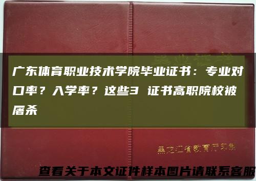 廣東體育職業技術學院畢業證書：專業對口率？入學率？這些3 證書高職院校被屠殺縮略圖