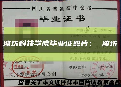 濰坊科技學院畢業證照片： 濰坊縮略圖