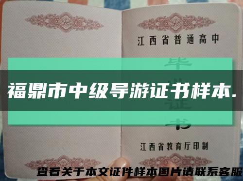 福鼎市中級導游證書樣本.縮略圖