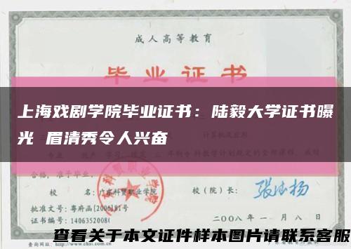 上海戲劇學院畢業證書：陸毅大學證書曝光 眉清秀令人興奮縮略圖