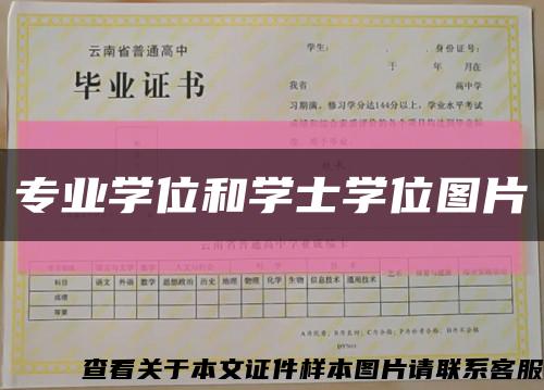 專業學位和學士學位圖片縮略圖