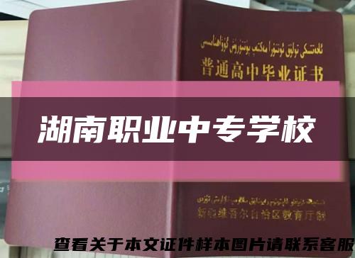 湖南職業中專學?？s略圖