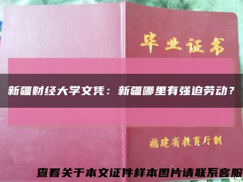 新疆財經大學文憑：新疆哪里有強迫勞動？縮略圖