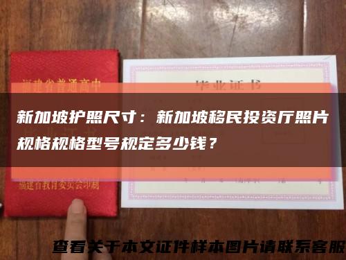 新加坡護照尺寸：新加坡移民投資廳照片規格規格型號規定多少錢？縮略圖
