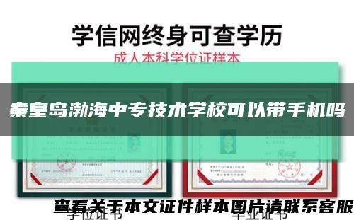 秦皇島渤海中專技術學?？梢詭謾C嗎縮略圖