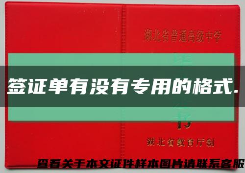簽證單有沒有專用的格式.縮略圖