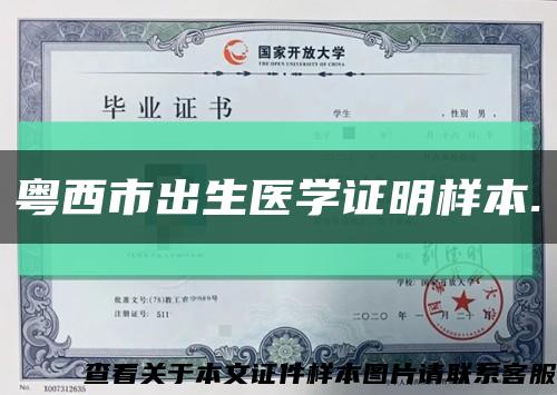 粵西市出生醫學證明樣本.縮略圖
