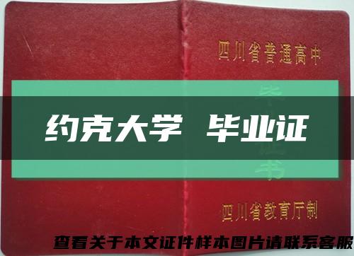 約克大學 畢業證縮略圖