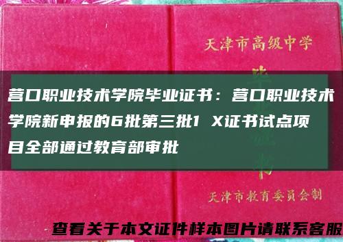 營口職業技術學院畢業證書：營口職業技術學院新申報的6批第三批1 X證書試點項目全部通過教育部審批縮略圖