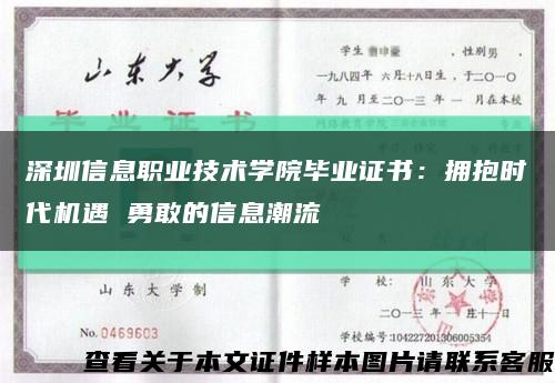 深圳信息職業技術學院畢業證書：擁抱時代機遇 勇敢的信息潮流縮略圖