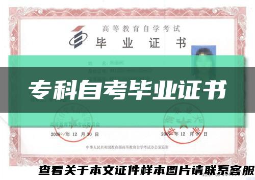 ?？谱钥籍厴I證書縮略圖