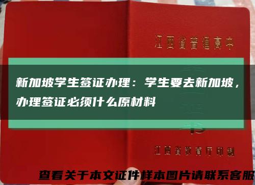 新加坡學生簽證辦理：學生要去新加坡，辦理簽證必須什么原材料縮略圖