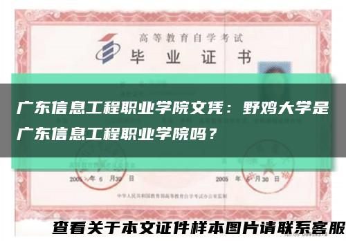 廣東信息工程職業學院文憑：野雞大學是廣東信息工程職業學院嗎？縮略圖