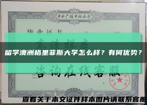 留學澳洲格里菲斯大學怎么樣？有何優勢？縮略圖