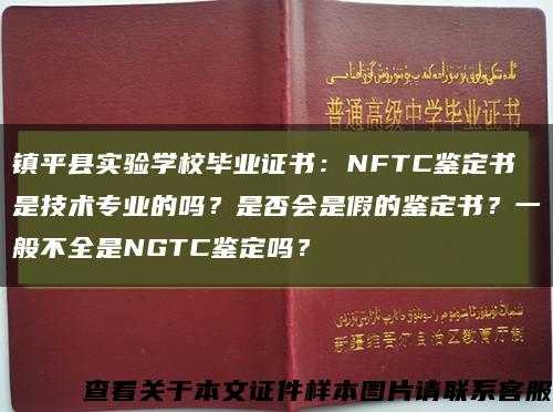鎮平縣實驗學校畢業證書：NFTC鑒定書是技術專業的嗎？是否會是假的鑒定書？一般不全是NGTC鑒定嗎？縮略圖