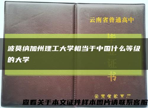 波莫納加州理工大學相當于中國什么等級的大學縮略圖