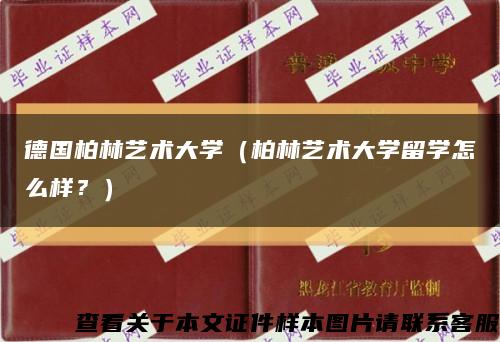 德國柏林藝術大學（柏林藝術大學留學怎么樣？）縮略圖