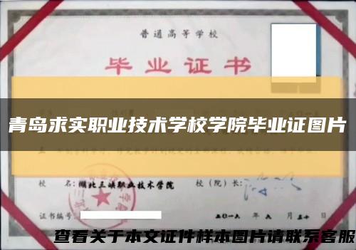青島求實職業技術學校學院畢業證圖片縮略圖