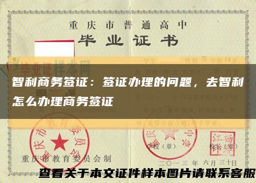 智利商務簽證：簽證辦理的問題，去智利怎么辦理商務簽證縮略圖
