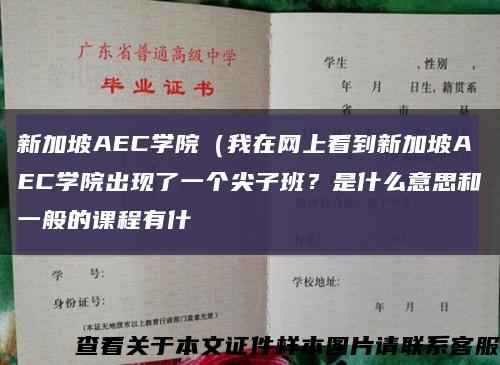 新加坡AEC學院（我在網上看到新加坡AEC學院出現了一個尖子班？是什么意思和一般的課程有什縮略圖