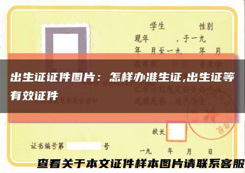 出生證證件圖片：怎樣辦準生證,出生證等有效證件縮略圖