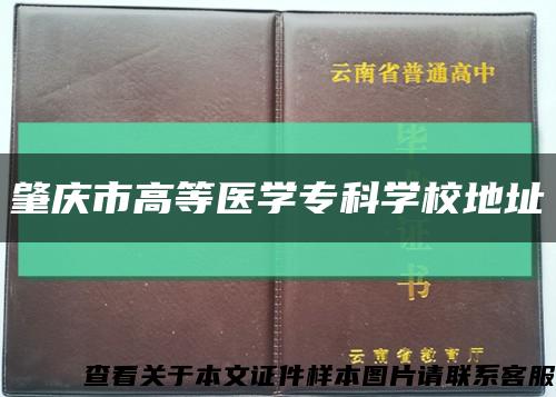 肇慶市高等醫學?？茖W校地址縮略圖