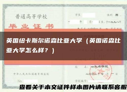 英國紐卡斯爾諾森比亞大學（英國諾森比亞大學怎么樣？）縮略圖