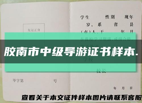 膠南市中級導游證書樣本.縮略圖