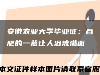 安徽農業大學畢業證：合肥的一幕讓人淚流滿面縮略圖